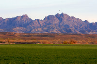 Colorado River