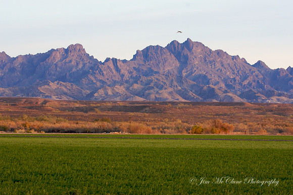 Colorado River