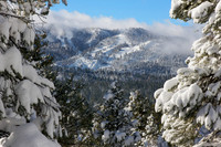 Morning Powder-Bear Mountain