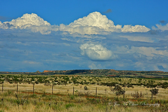 Texas High Plains
