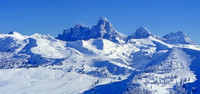 The Grand Tetons