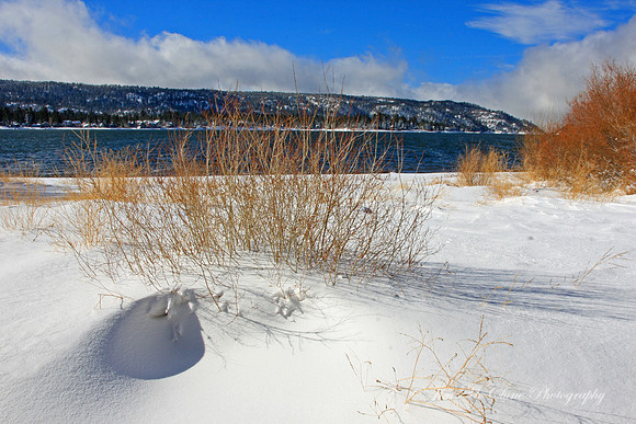 Snowdrift