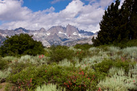 Minarets and Indian Paintbrush