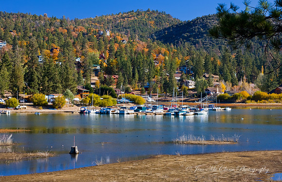 Fawnskin Fall Colors