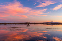 Bosque Del Apache NM