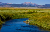 Owens River & Mammoth Mountain