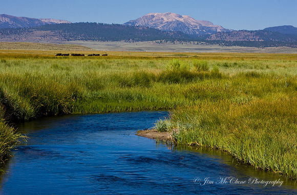 Owens River & Mammoth Mountain